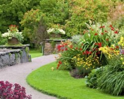 Beautifully Landscaped Greenery